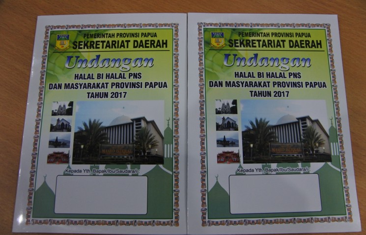 Pemerintah Provinsi Papua