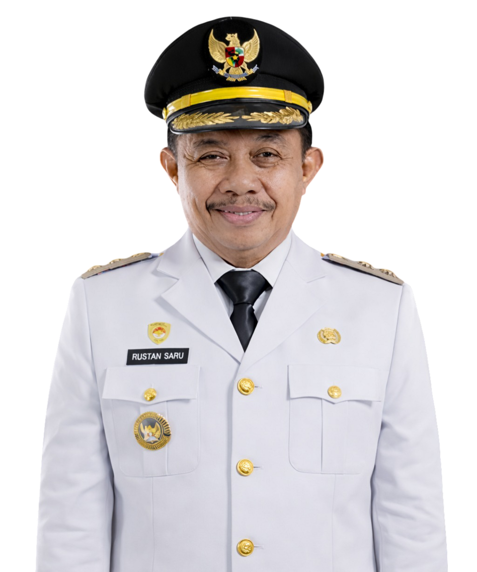 Dr. Ir. H RUSTAN SARU, M.M