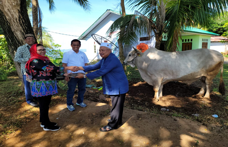 Asisten 2 Pemprov Papua Serahkan Sapi Kurban Bantuan Presiden Republik Indonesia 