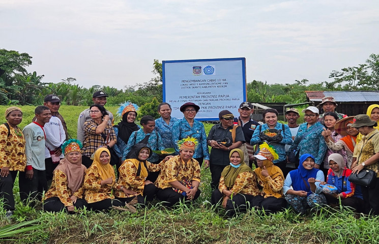 TP PKK Provinsi Papua Berkolaborasi Menggalakkan Kembali Penanaman Cabai Untuk Turut Serta Menekan Laju Inflasi