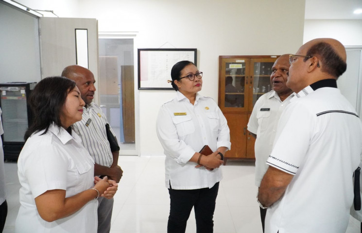 Pusat Data Terpadu Pemprov Papua