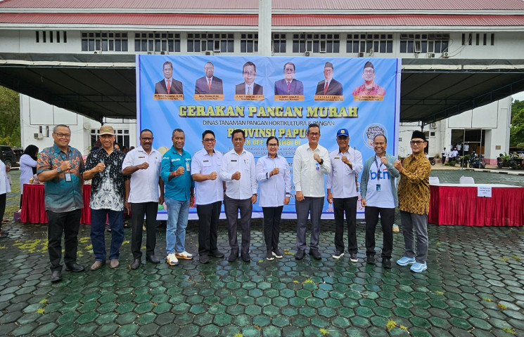 Pusat Data Terpadu Pemprov Papua