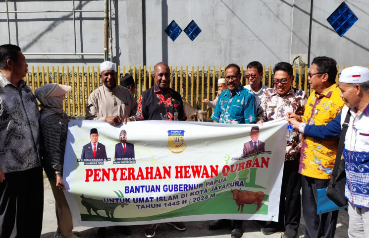 Pj. Gubernur Papua Salurkan 12 Ekor Sapi Kurban di Empat Daerah
