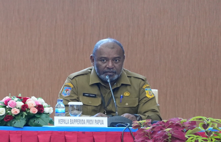 APL Semakin Menyempit, Papua Butuh Lahan Baru untuk Investasi