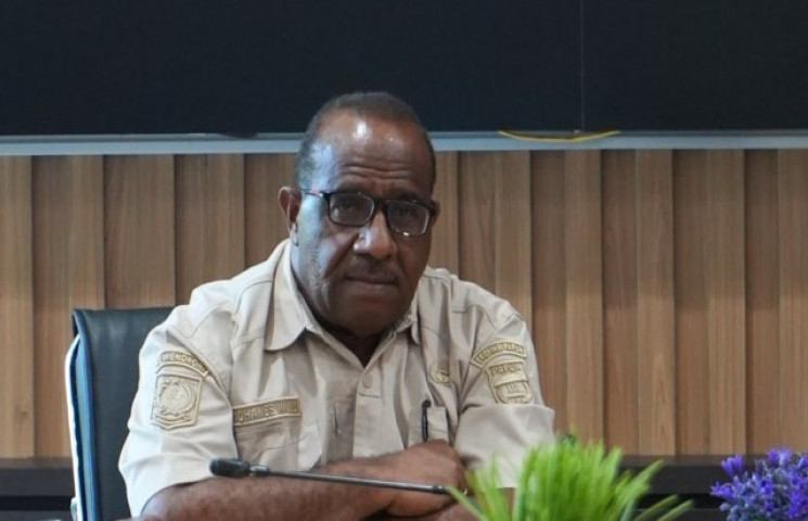 Pemprov Papua Harap Kabupaten/Kota Perkuat Pengawasan Lokasi Usaha Peternakan
