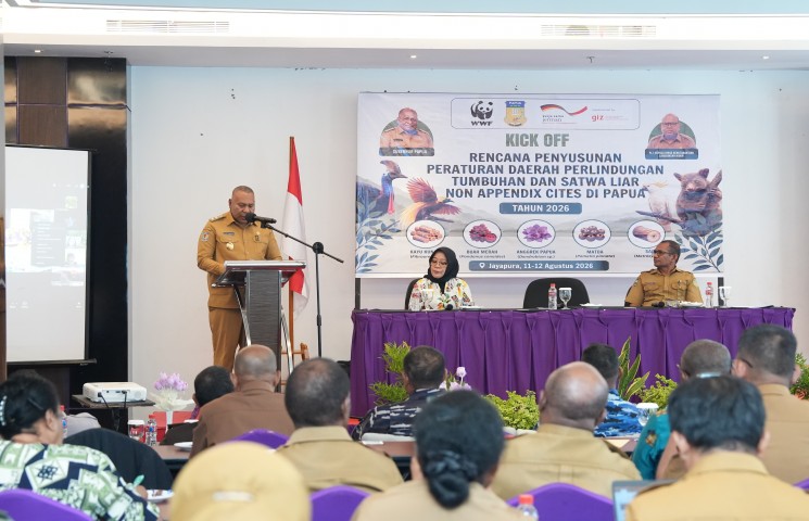 Pemprov Papua Mulai Susun Raperda Perlindungan Tumbuhan dan Satwa Liar Non-Appendix Cites