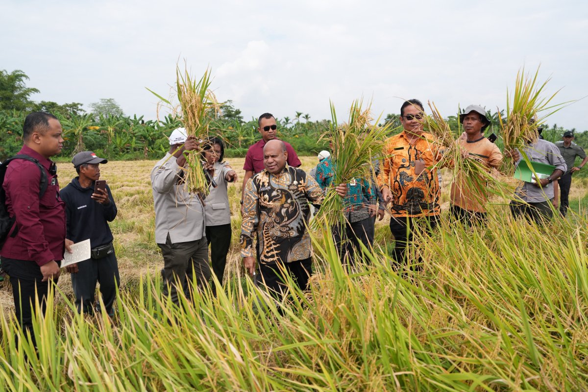 Pusat Data Terpadu Pemprov Papua