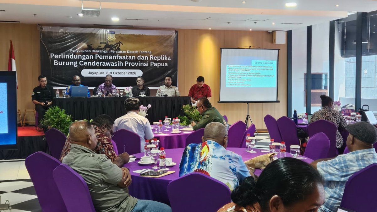 Pemprov Papua Dorong Regulasi Pemanfaatan dan Replika Cenderawasih
