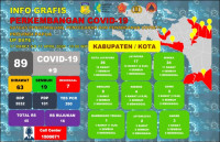 3 Kasus Perdana Ditemukan di Nabire, Positif Corona di Papua Jadi 89 Kasus