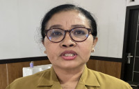 BPKLN Papua : Masalah Perbatasan Butuh Kerjasama Semua Pihak