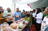 Kunjungi Kabupaten Jayapura dan Keerom, Pj Gubernur : Daging Sapi dan Bawang Perlu jadi Perhatian 