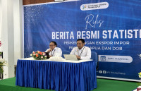 BPS Papua : Ekspor ke enam Negara Juni 2024 senilai 3.826,09 juta dolar AS