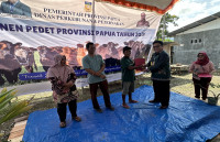 Berita