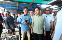 PPI Hamadi Disiapkan Jadi Pusat Perikanan Modern Papua