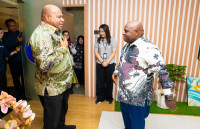Pemprov Papua Perkuat Sinergi Pusat–Daerah Lewat Audiensi dengan Menteri HAM