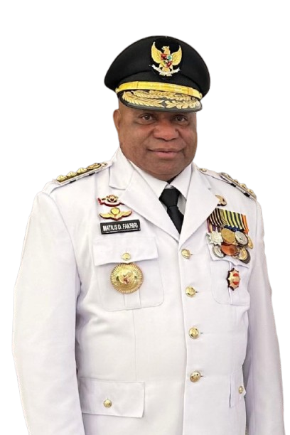 Gubernur Papua