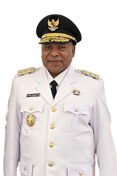 Wakil Gubernur Papua